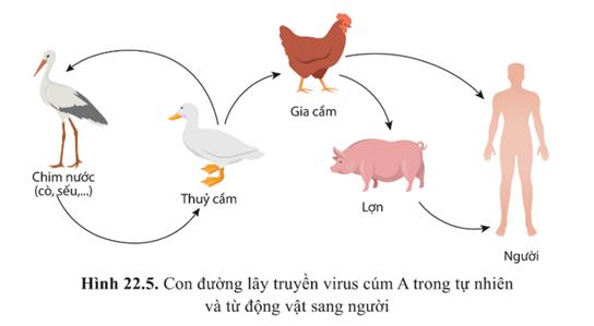 MỞ ĐẦU
