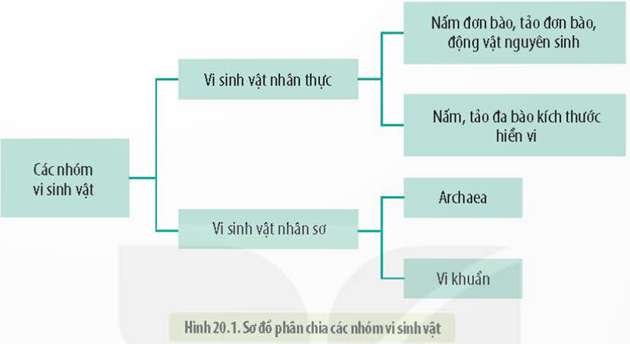 MỞ ĐẦU