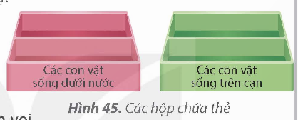 KHỞI ĐỘNG