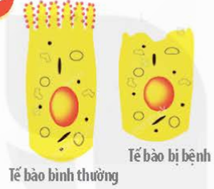 MỞ ĐẦU