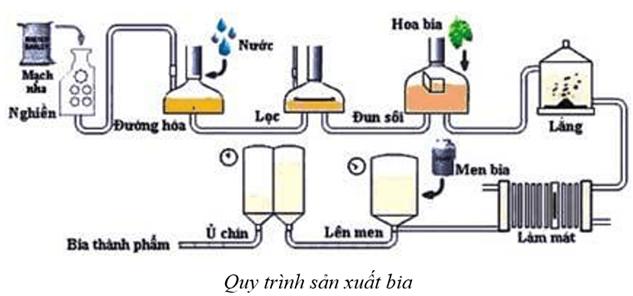 1. Mục đích