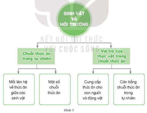 MỞ ĐẦU