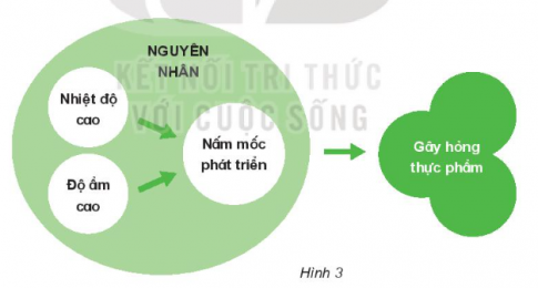 MỞ ĐẦU