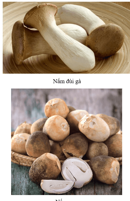 MỞ ĐẦU