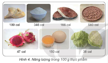 MỞ ĐẦU