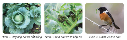MỞ ĐẦU