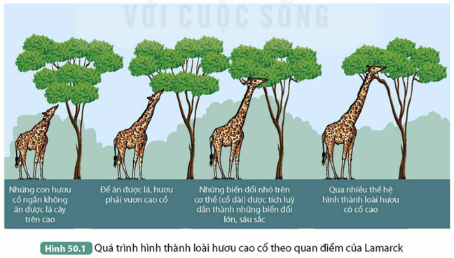 I. QUAN ĐIỂM CỦA LAMARCK VỀ CƠ CHẾ TIẾN HÓA