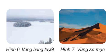 2. Sự kì diệu của lá cây