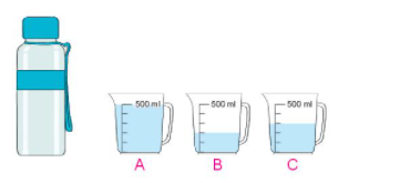 HOẠT ĐỘNG