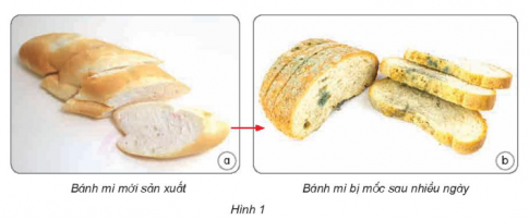 MỞ ĐẦU