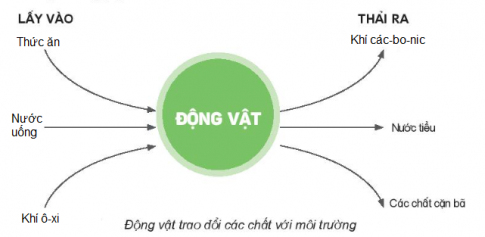 MỞ ĐẦU