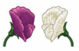 I. QUY LUẬT PHÂN LI
