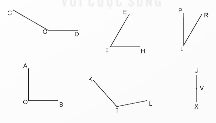 Hoạt động