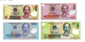 HOẠT ĐỘNG