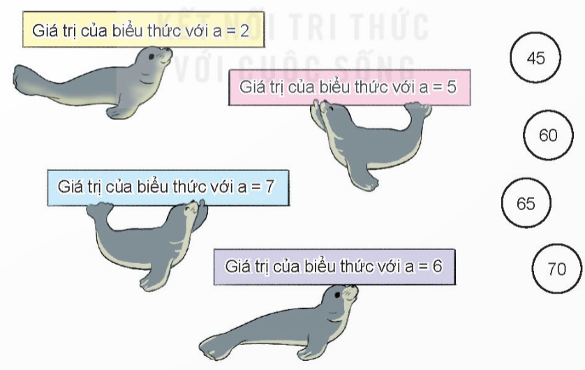 Luyện tập 2: