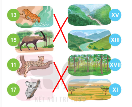 HOẠT ĐỘNG