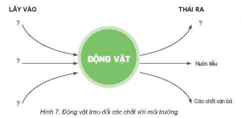 MỞ ĐẦU