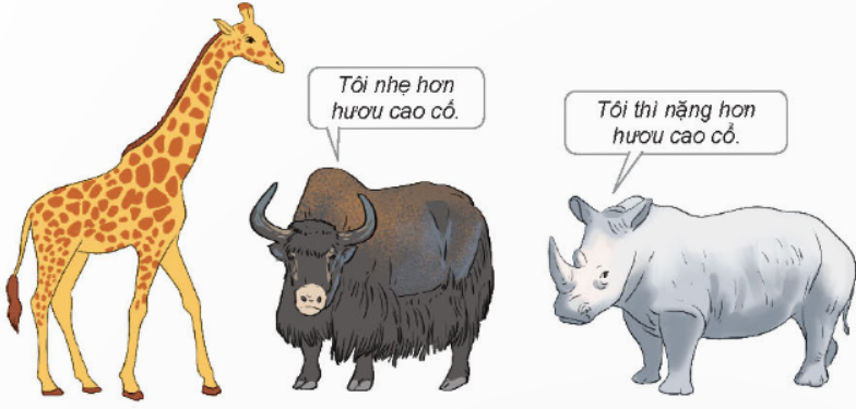 Hoạt động