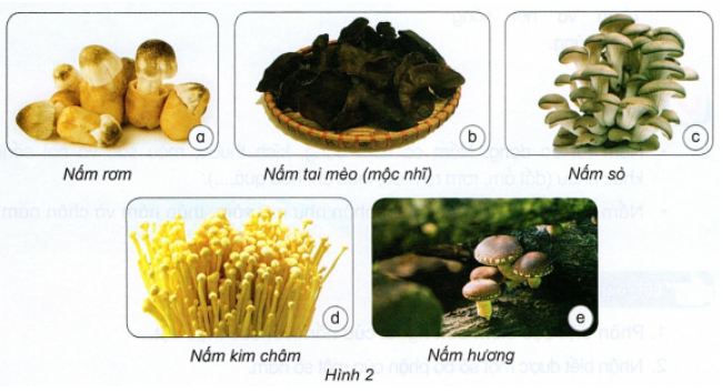 MỞ ĐẦU
