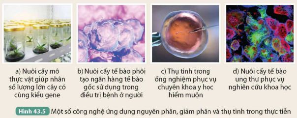 I. NGUYÊN PHÂN