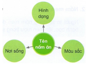 MỞ ĐẦU