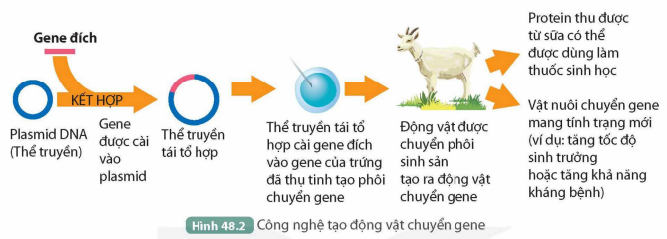 I. ỨNG DỤNG CÔNG NGHỆ DI TRUYỀN TRONG NÔNG NGHIỆP