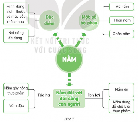 MỞ ĐẦU