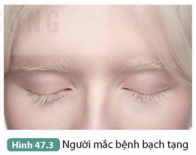 I. TÍNH TRẠNG Ở NGƯỜI