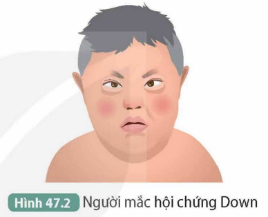 I. TÍNH TRẠNG Ở NGƯỜI