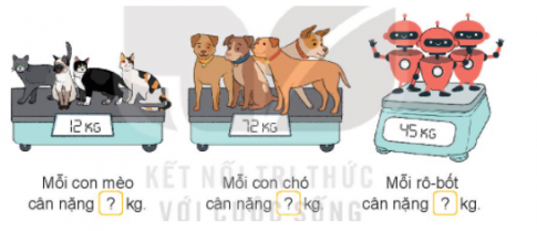 HOẠT ĐỘNG 1