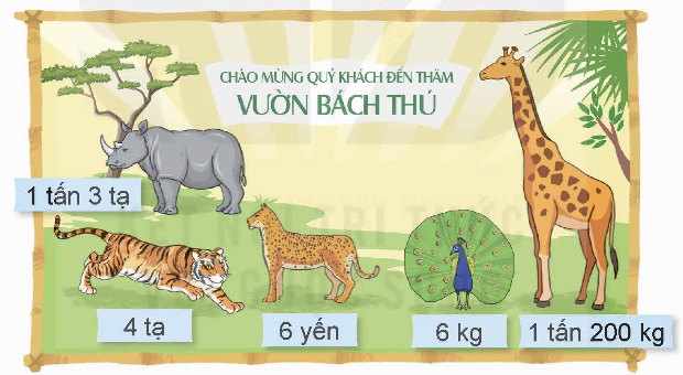 Hoạt động