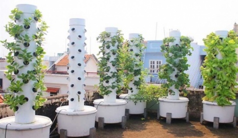 MỞ ĐẦU