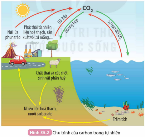 I. KHÁI NIỆM VỀ NHIÊN LIỆU HÓA THẠCH. NGUỒN GỐC HÌNH THÀNH KHÍ METHANE