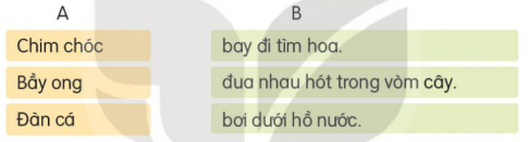 KHỞI ĐỘNG