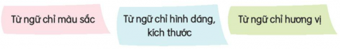 KHỞI ĐỘNG