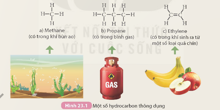 I. KHÁI NIỆM HYDROCARBON, ALKANE