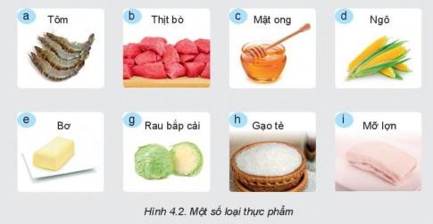 KHỞI ĐỘNG