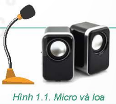 1. THIẾT BỊ VÀO - RA