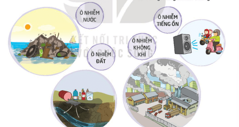 MÔI TRƯỜNG KÊU CỨU