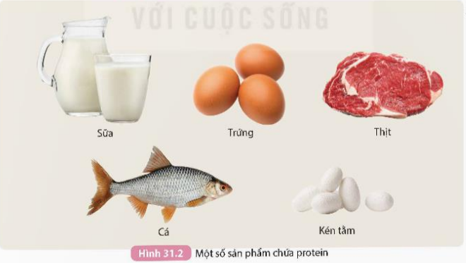 I. KHÁI NIỆM, CẤU TẠO