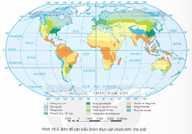1. Sự phân bố trên Trái Đất