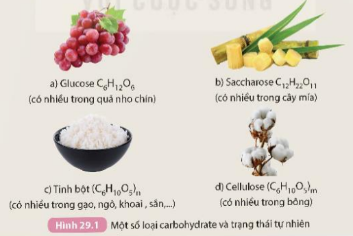 I. KHÁI NIỆM CARBOHYDRATE