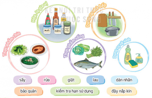 VÌ TẦM VÓC VIỆT