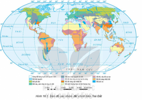 1. Sự phân bố trên Trái Đất