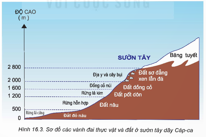 1. Sự phân bố trên Trái Đất