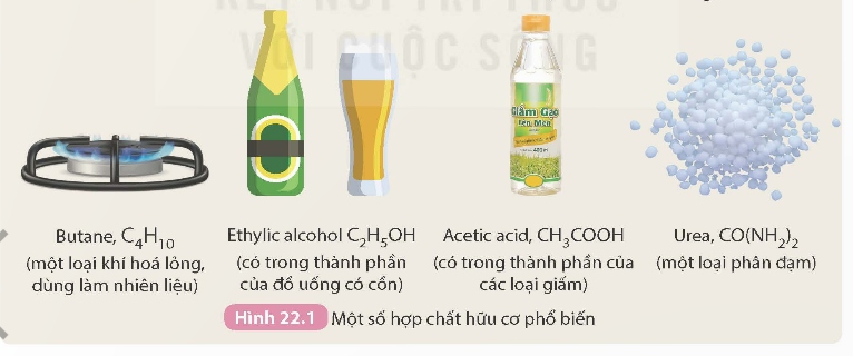 I. KHÁI NIỆM HỢP CHẤT HỮU CƠ VÀ HÓA HỌC HỮU CƠ