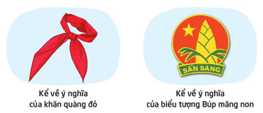 PHẤN ĐẤU TRỞ THÀNH ĐỘI VIÊN