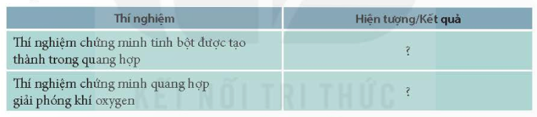 III. KẾT QUẢ
