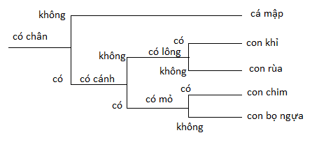 MỞ ĐẦU