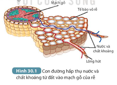 MỞ ĐẦU